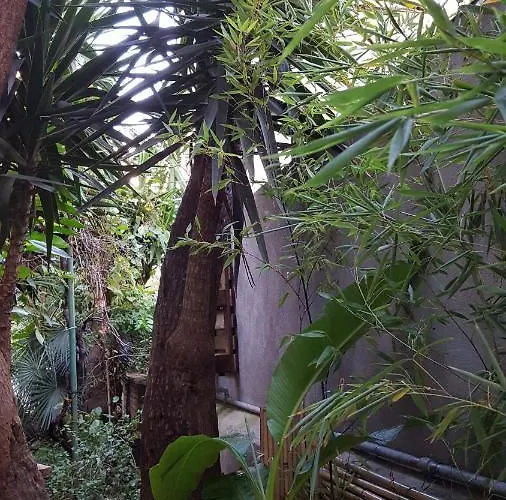 Palm Gallery Garden House Hotel